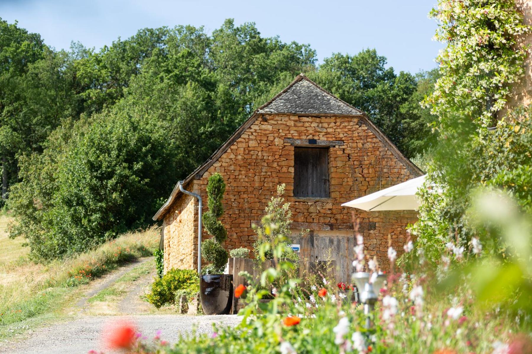 Maison D'Hotes La Maison De Leopold Terrasson Eksteriør billede