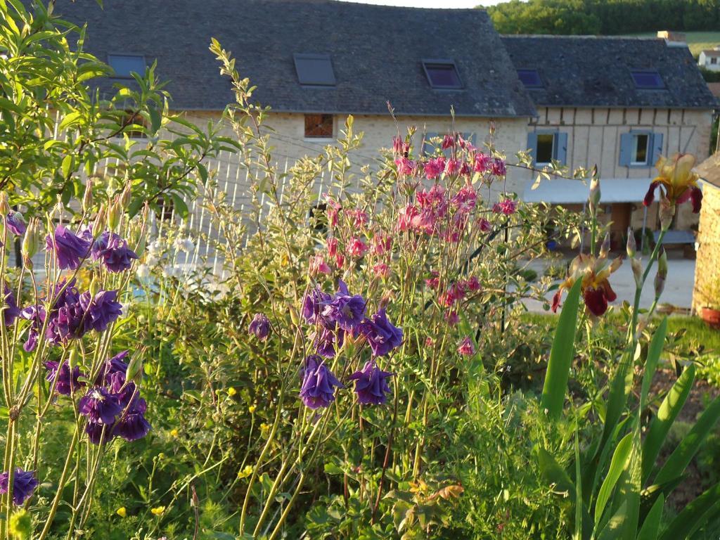 Maison D'Hotes La Maison De Leopold Terrasson Eksteriør billede